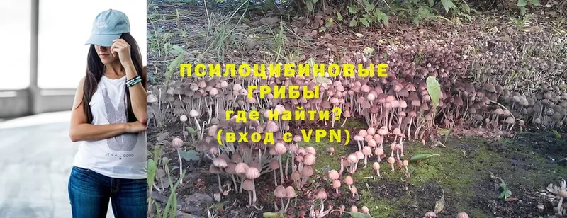 продажа наркотиков  Электроугли  Галлюциногенные грибы Magic Shrooms 